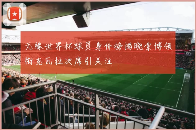 无缘世界杯球员身价榜揭晓索博领衔克瓦拉次席引关注