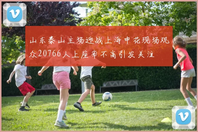 山东泰山主场迎战上海申花现场观众20766人上座率不高引发关注